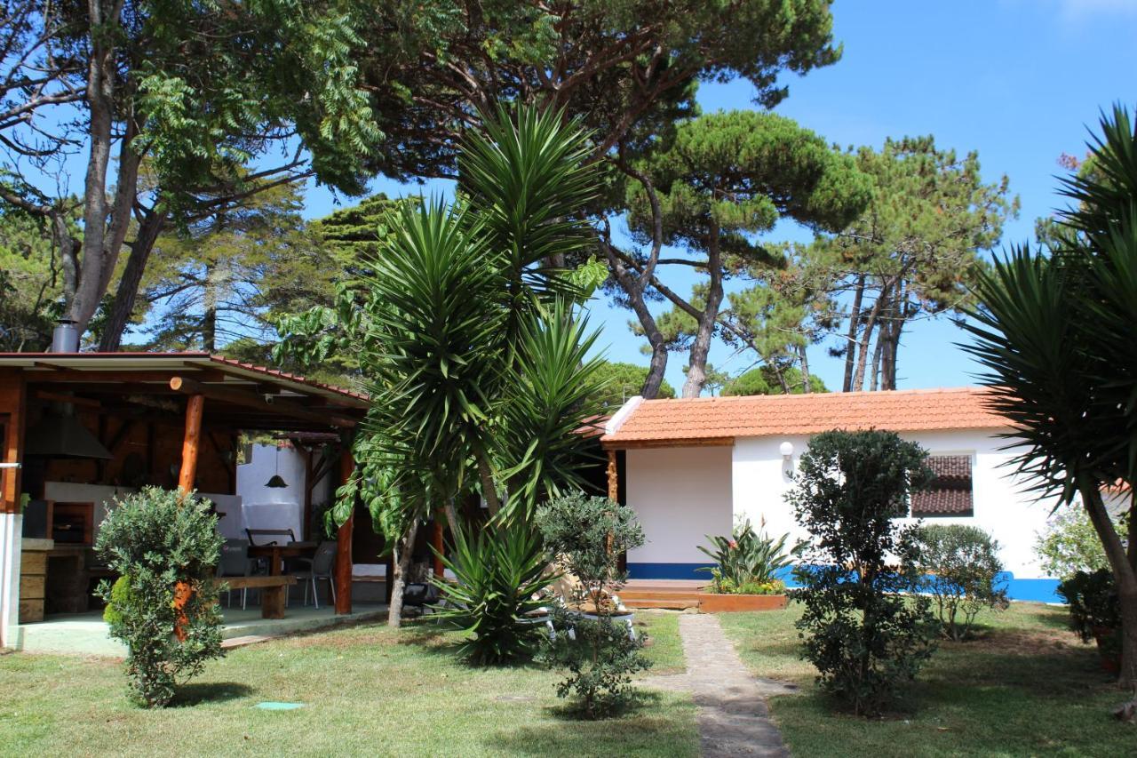 Casinha Do Pinhal Vila Colares Exterior foto