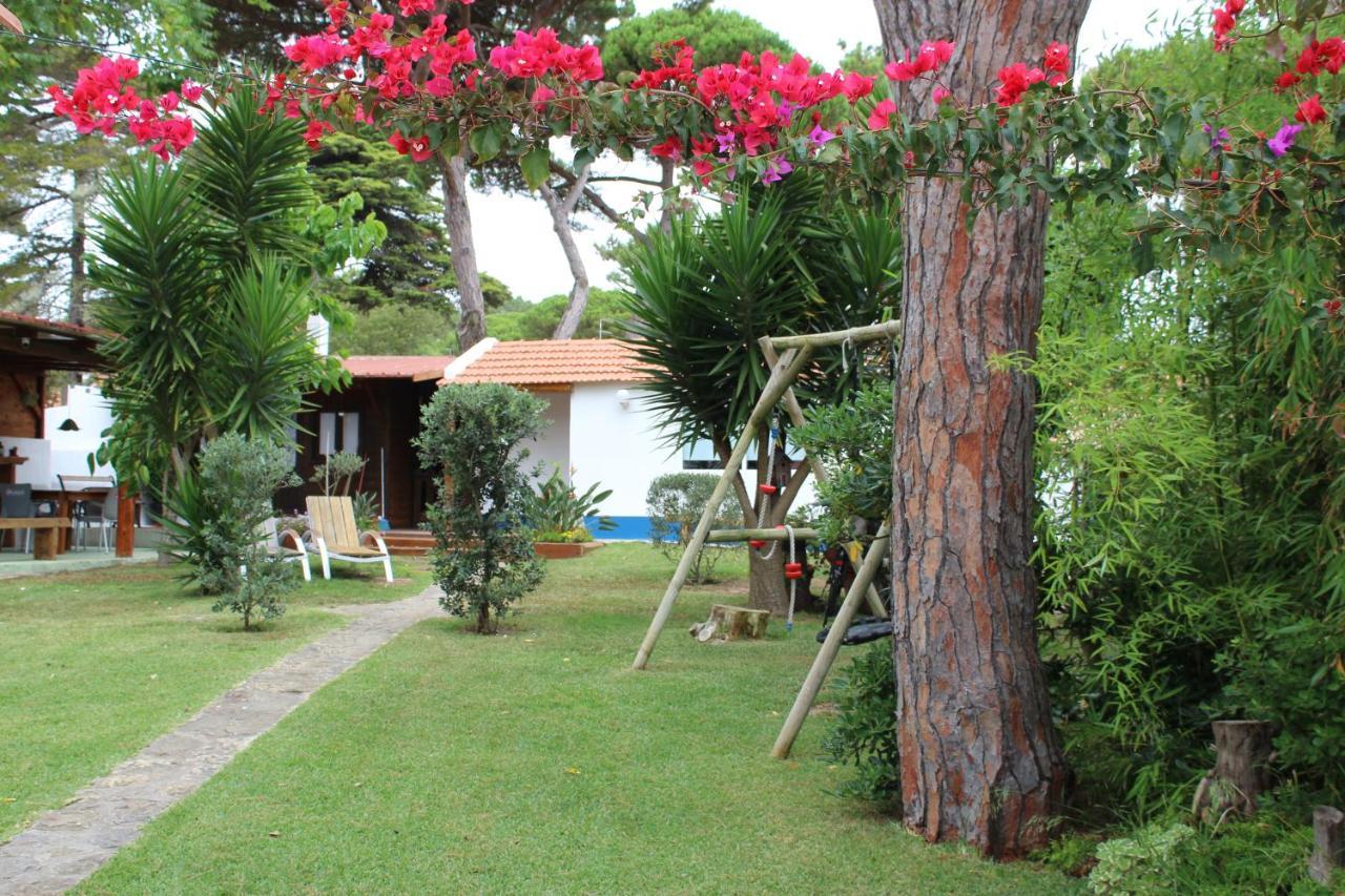 Casinha Do Pinhal Vila Colares Exterior foto