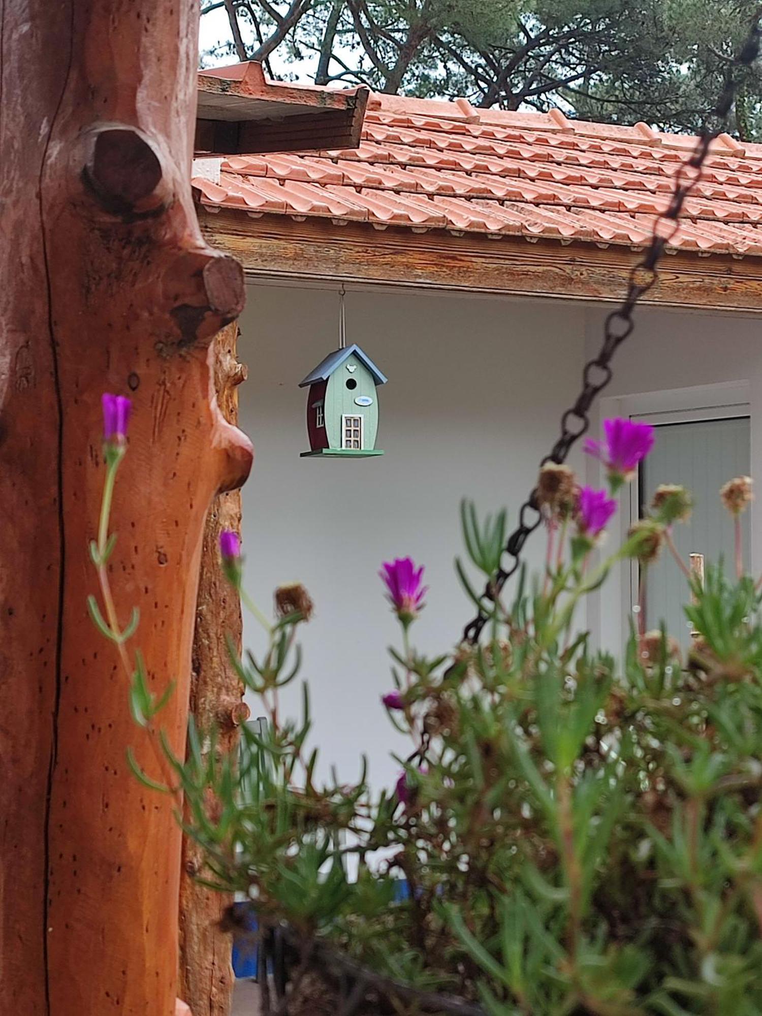 Casinha Do Pinhal Vila Colares Exterior foto